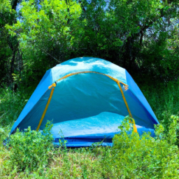 Camping during the pandemic: Popular…