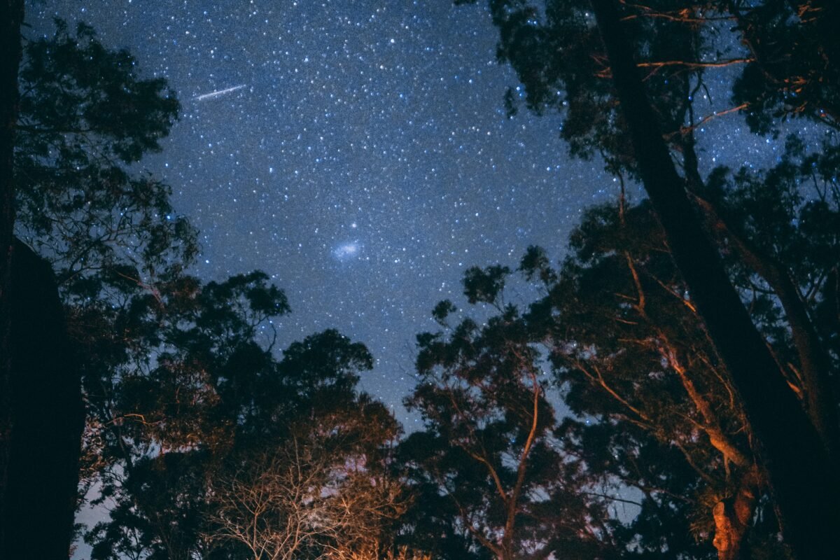 Enjoyable Camping Tips for Everyone