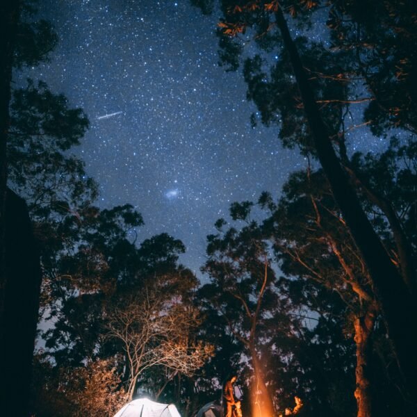 Enjoyable Camping Tips for Everyone