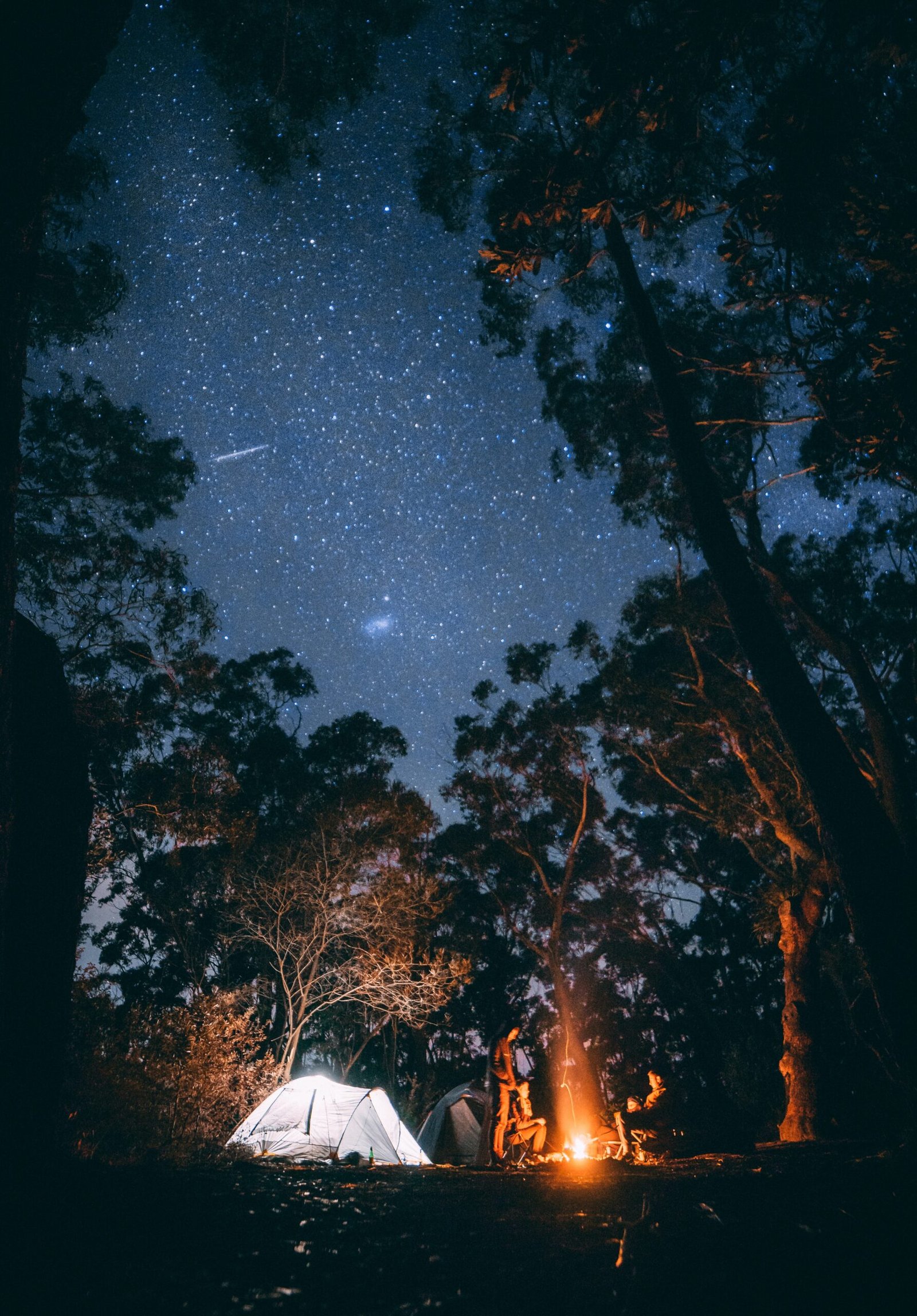 Enjoyable Camping Tips for Everyone