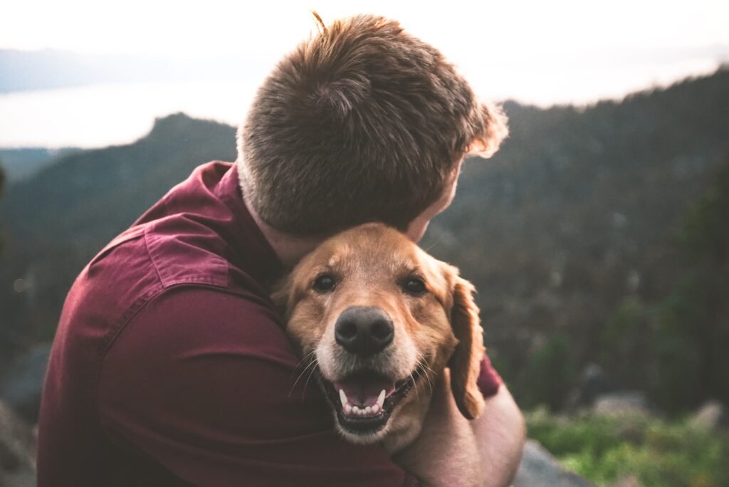 Ultimate Guide to Camping with Pets: What to Pack and How to Prepare for Dog-Friendly Camping Activities