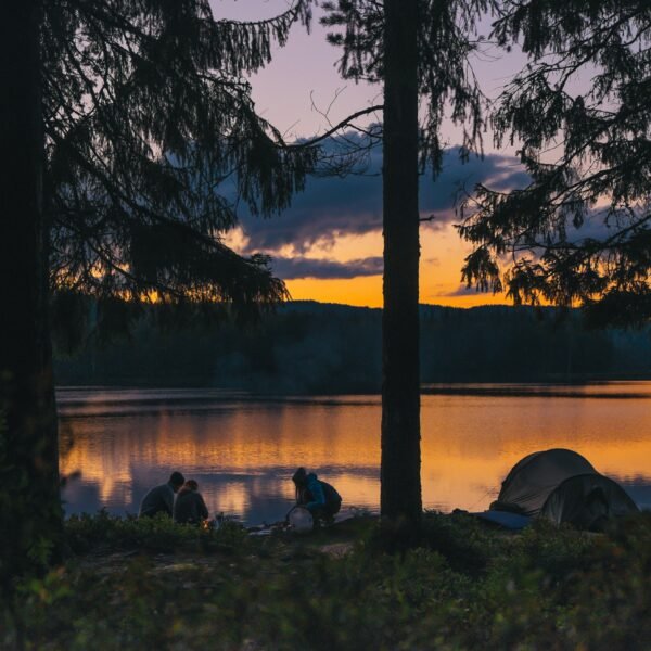 What Do You Need To Go Camping