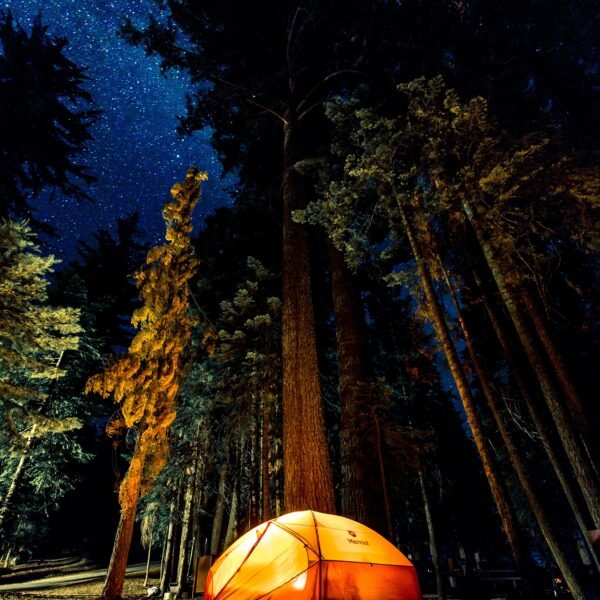 What To Take Camping